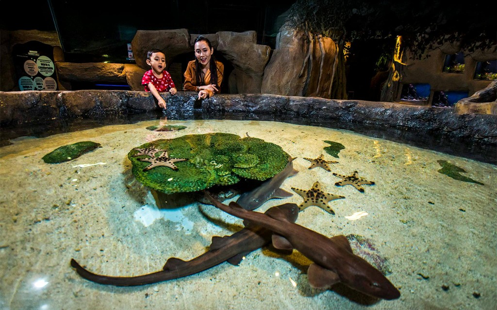 Aquaria KLCC Eintrittstickets (Admission Tickets) - 3