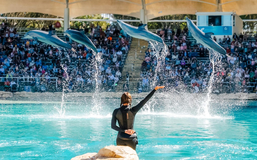 Unlimited Multi-Day Theme Parks Pass: Movie World, Sea World & Wet'n’Wild (5-Day 3 Parks Pass) - 3
