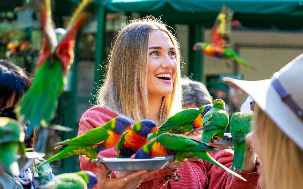Currumbin Wildlife Sanctuary Tickets (Astra Lumina General Admission) - 1