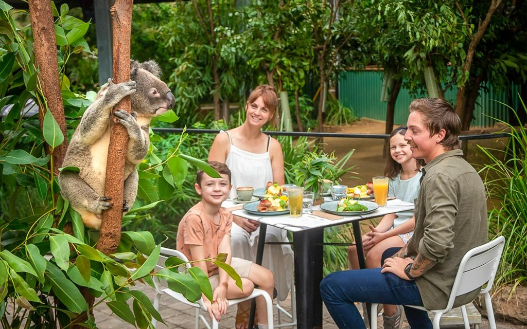 Currumbin Wildlife Sanctuary Tickets (General Entry Tickets) - 1