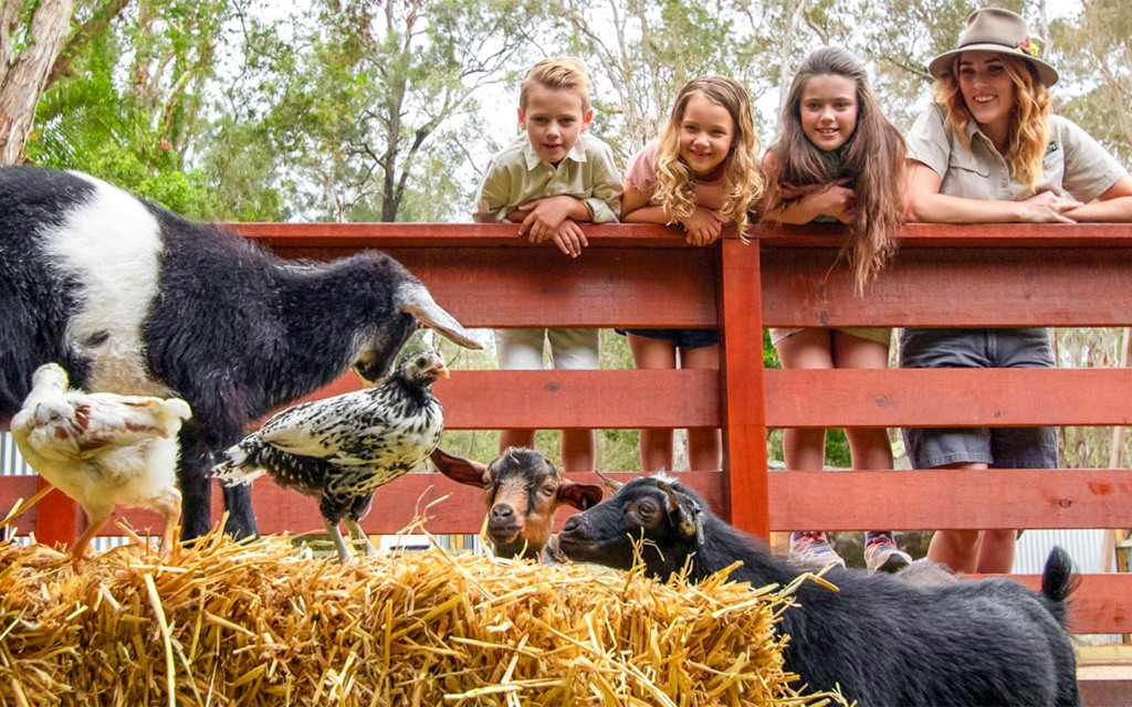 Currumbin Wildlife Sanctuary Tickets (Astra Lumina General Admission) - 2
