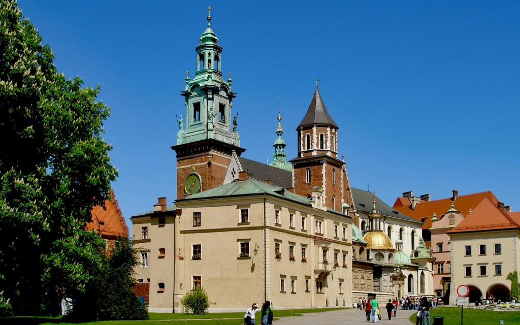 Geführte Tour durch die Burg Wawel und die Wawel-Kathedrale (French Guided Tour of Wawel Castle, Cathedral & Wieliczka Salt Mine with Lunch) - 3