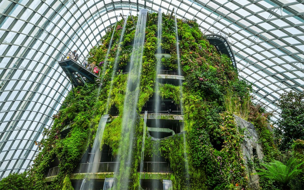 Ogrody Gardens by the Bay Bilety: Cloud Forest (Jurassic World Wycieczka) + Flower Dome (Cloud Forest + Flower Dome + Floral Fantasy + Shuttle Service) - 1