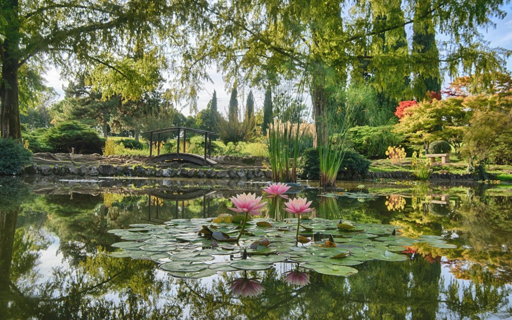 Eintrittskarten für den Parco Giardino Sigurtà ohne Anstehen (Parco Sigurtà Entry Tickets) - 3