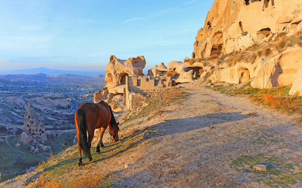 Cappadocia: tour a cavallo con trasferimenti (1-Hour Daytime Horse Riding Tour) - 3