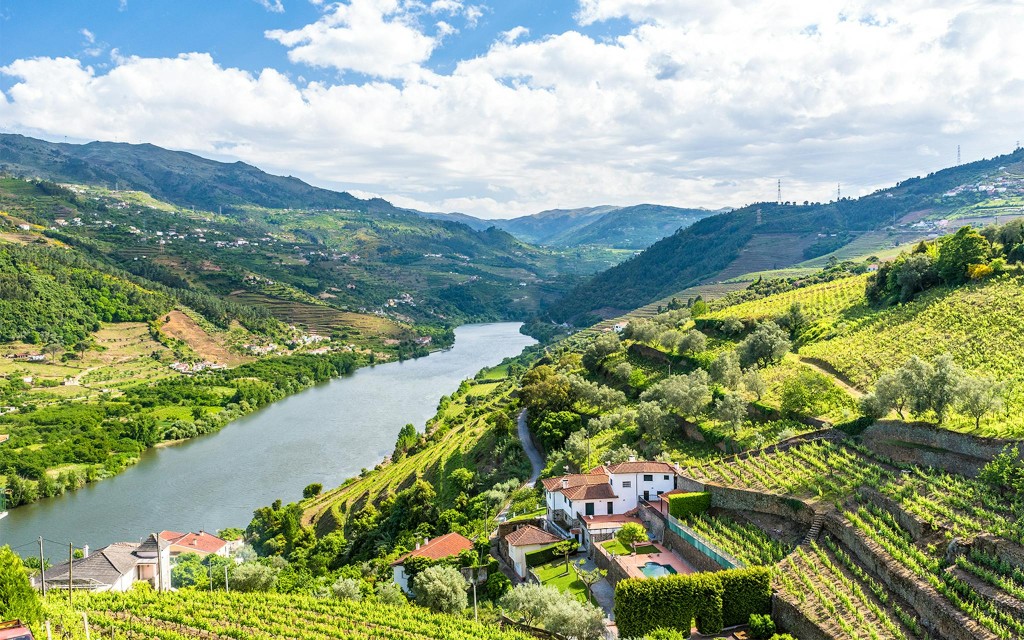 Klassische geführte Tour durch das Douro-Tal mit 1-stündiger Pinhão-Kreuzfahrt, traditionellem Mittagessen und Weinverkostung
 (Full Day Tour + 6 Wines Tasting) - 1