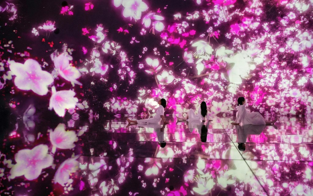 Tickets für teamLab Planets TOKYO (TeamLab Planets: Admission Ticket) - 2