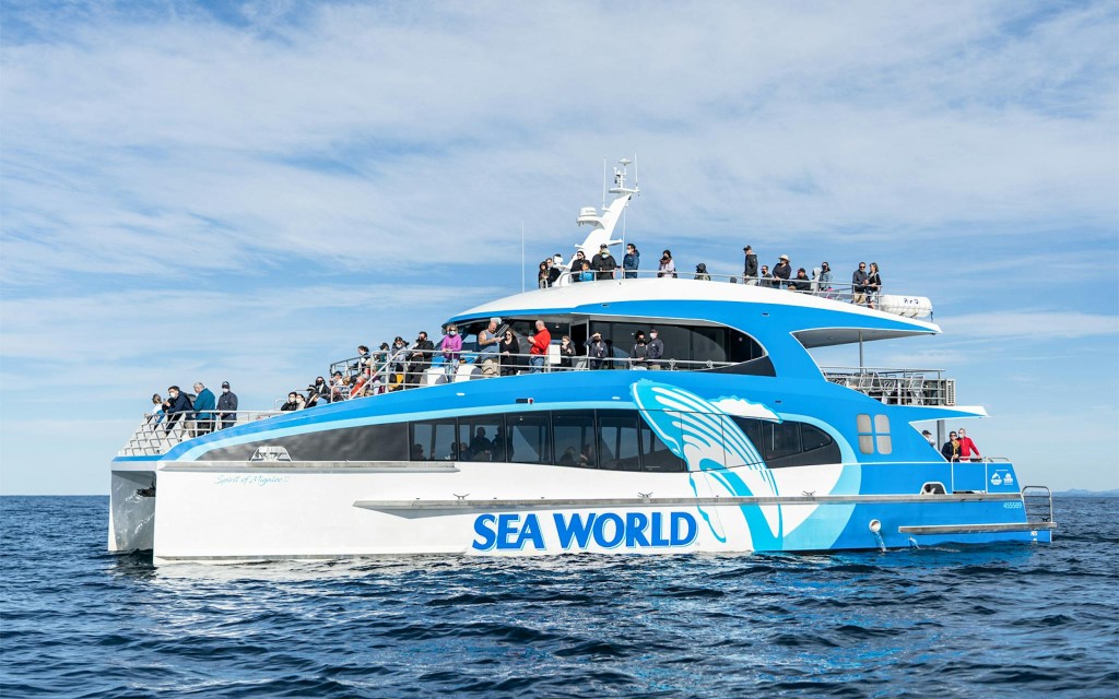 Premium Whale Watching Cruise by SeaWorld (Whale Watching Cruise) - 3