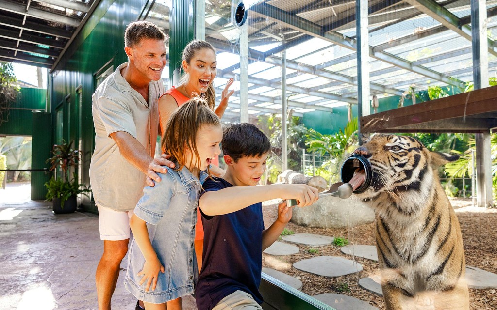 DreamWorld Gold Coast Tickets (1 Day Pass to Dreamworld ) - 2