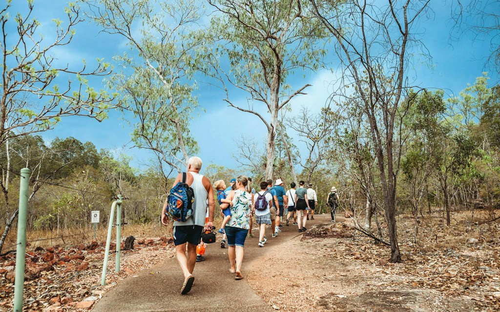From Darwin: Litchfield & Waterfalls Tour with Transfers (Litchfield Day Tour from Darwin with Offroad Dreaming) - 1