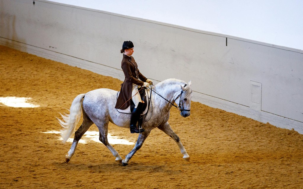 Morning Exercise with Music (Category 2 Seating) - 3