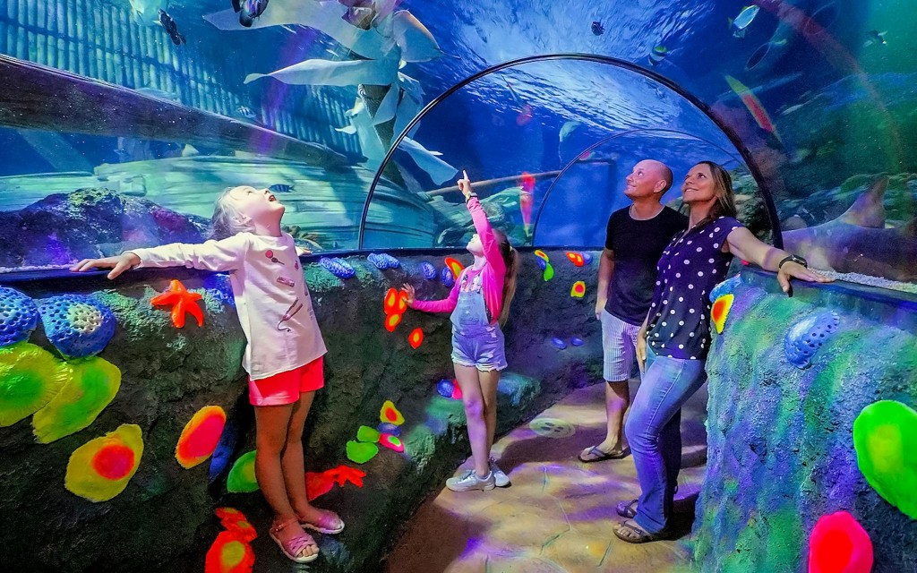 Gardaland Sea Life Aquarium Eintrittstickets (SEA LIFE Aquarium Tickets) - 3