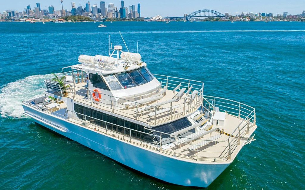 Walbeobachtungsfahrt in Sydney mit Erläuterungen eines Meeresbiologen (From Circular Quay: Whale Watching Cruise) - 2