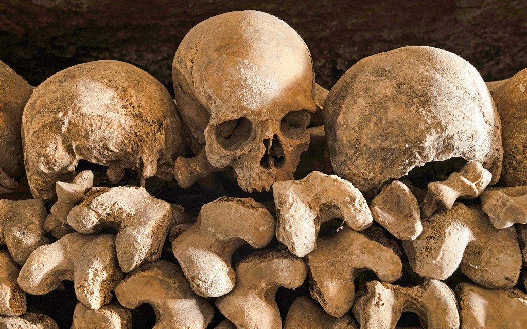 Reservierte Tickets für die Katakomben von Paris (Catacombs Tickets with Audio Guide) - 3