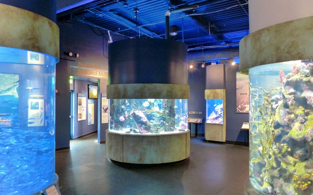 Aquarium of the Bay Bilety (General Admission Tickets) - 1