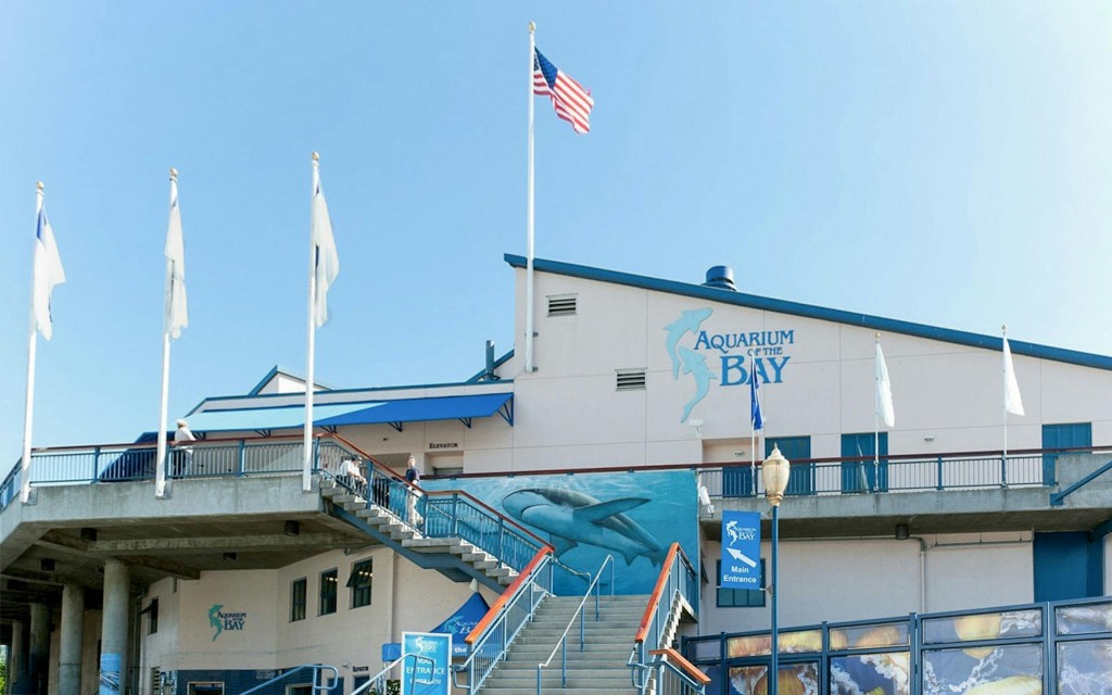 Aquarium of the Bay Bilety (General Admission Tickets) - 3