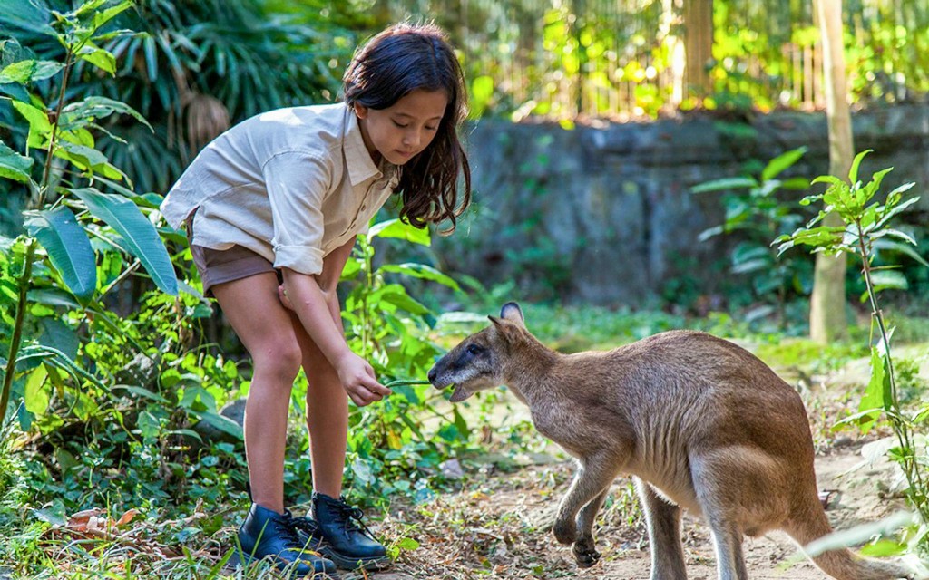Bali Zoo Eintrittskarten (Bali Zoo Entry Tickets) - 1