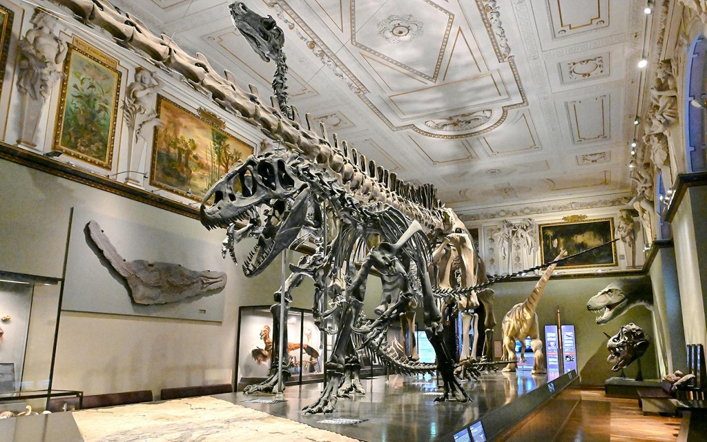 Natural History Museum Vienna Entry Tickets (Entry Ticket + City Audio Guide) - 2