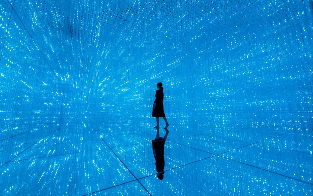 teamLab Planets Entradas sin colas [Premium Pass] (Pase Premium) (teamLab Planets Premium Pass) - 2