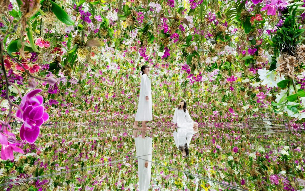 teamLab Planets Entradas sin colas [Premium Pass] (Pase Premium) (teamLab Planets Premium Pass) - 3