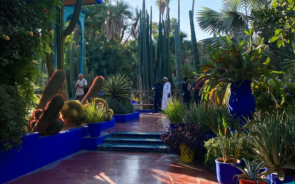 Jardin Majorelle Eintrittstickets  (Jardin Majorelle Entry Ticket + Transport) - 3