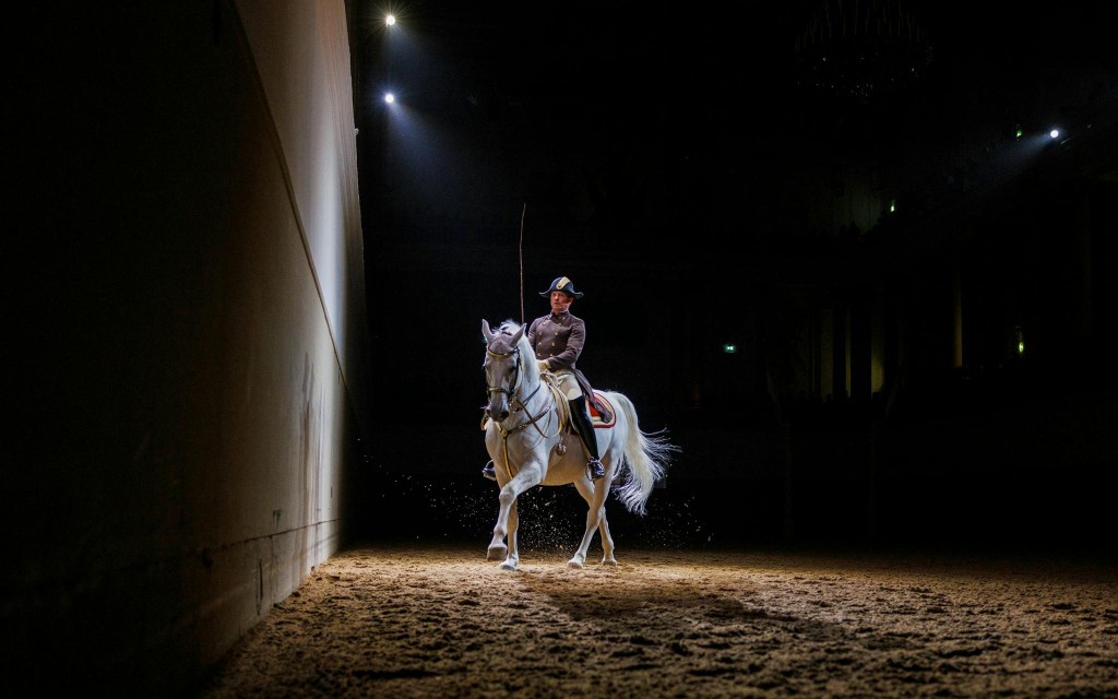 Vorführung der Lipizzaner der Spanischen Hofreitschule (70 Min.) (Category 2 Seating) - 1