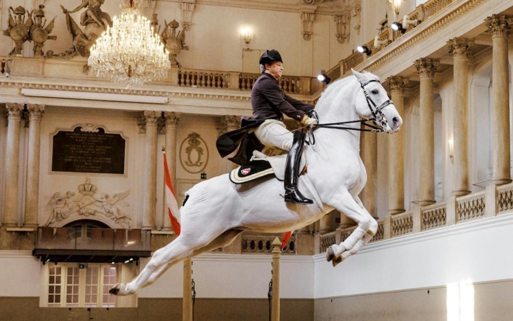 Vorführung der Lipizzaner der Spanischen Hofreitschule (70 Min.) (Category 3 Seating) - 2
