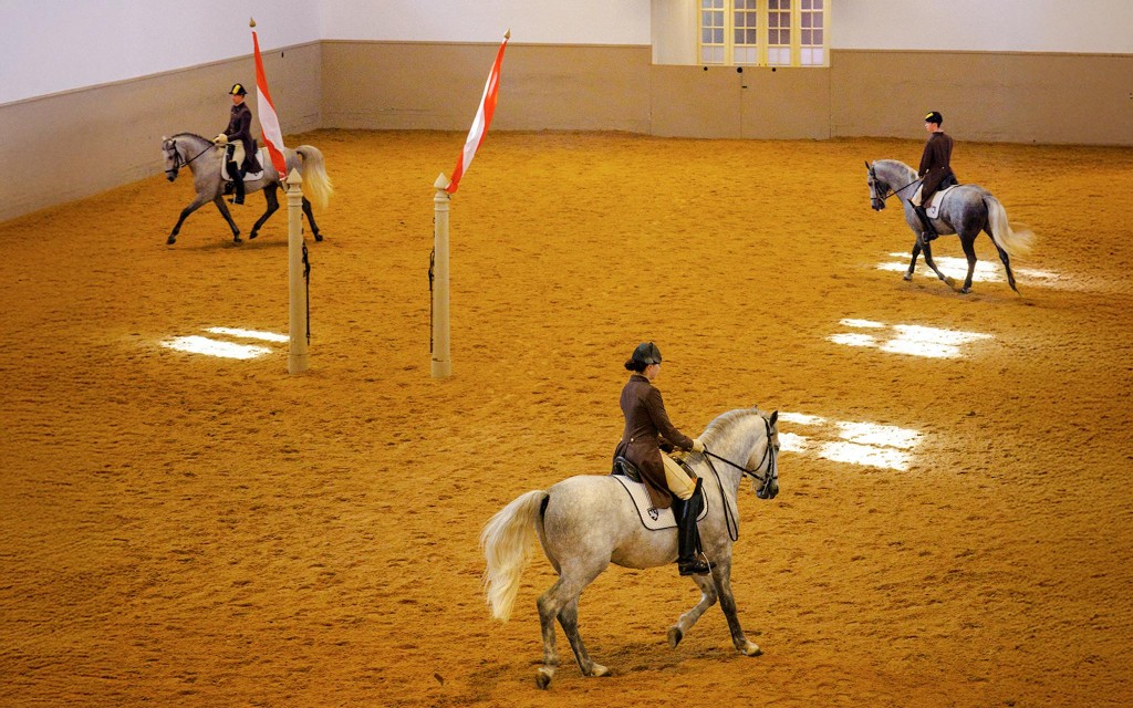 Vorführung der Lipizzaner der Spanischen Hofreitschule (70 Min.) (Category 2 Seating) - 2