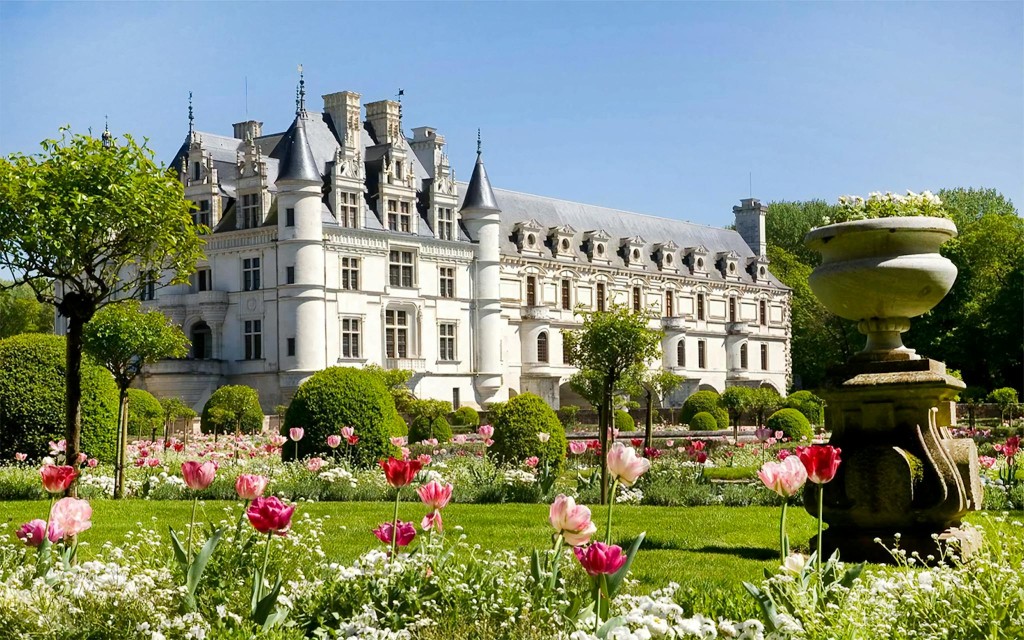 Von Paris aus: Ganztägige Kleingruppentour durch das Loiretal mit Tickets für den Eintritt (Loire Valley Castles Day Trip from Paris) - 2