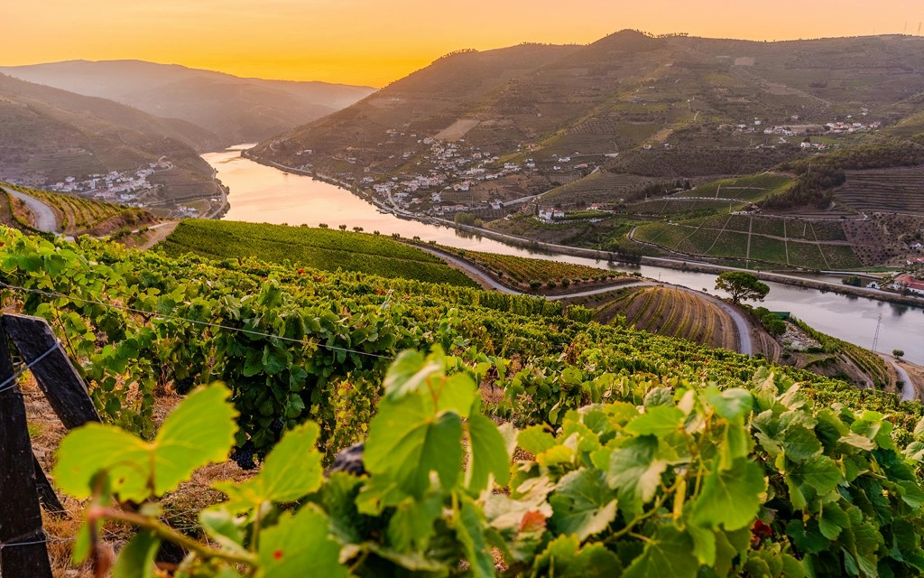 Półdniowa wycieczka z przewodnikiem po Dolinie Douro z godzinnym rejsem po Pinhão i Degustacją win (Afternoon Session) - 1