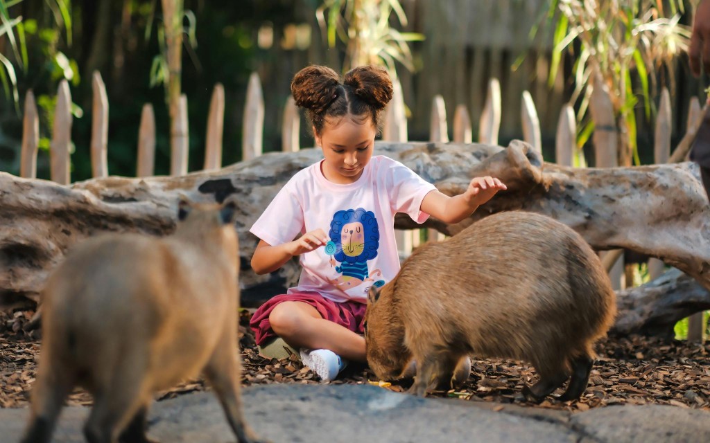 Capybara Interaktion + optionaler Brunch mit Bali Zoo Tickets (Capybara Connection) - 1
