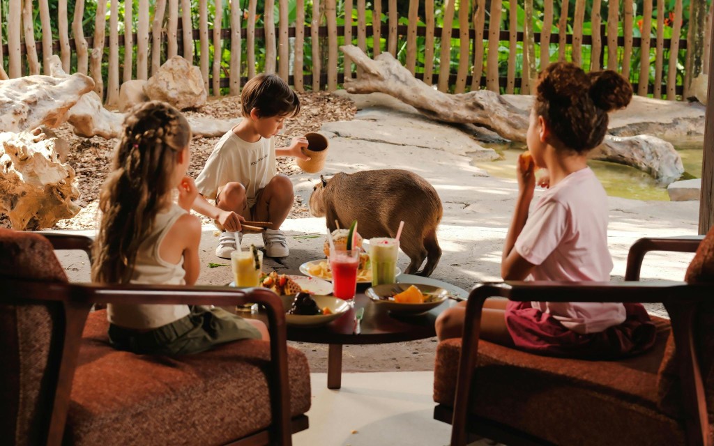 Capybara Interaktion + optionaler Brunch mit Bali Zoo Tickets (Capybara Connection) - 3