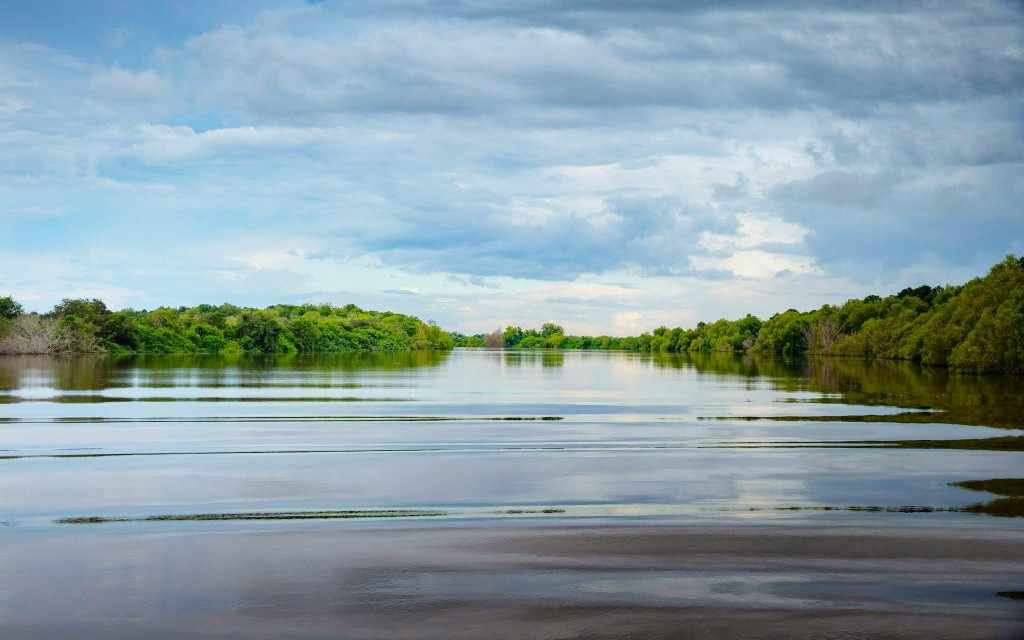 Adelaide River Jumping Crocodile Cruise with Guided Commentary (1-Hour Cruise) - 3