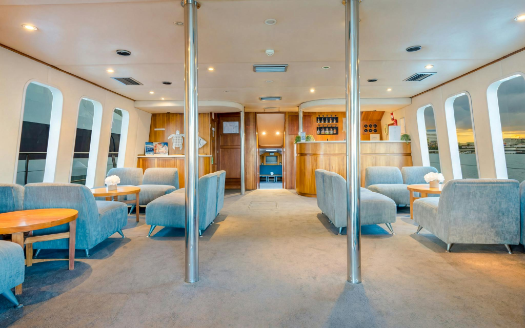 Luxury Yacht Whale Watching Tour With Marine Biologist (Whale Watching Tour on Luxury Yacht) - 3