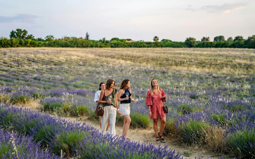 Lavender Fields Family Estate Visit (Lavender Fields Estate Ticket + Soap Workshop) - 1