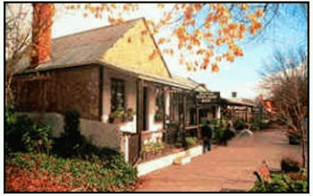 Adelaide Highlights with Wine Tasting & Coast (Full Day Tour) (Adelaide Highlights with Wine Tasting & Coast (Full Day)) - 2