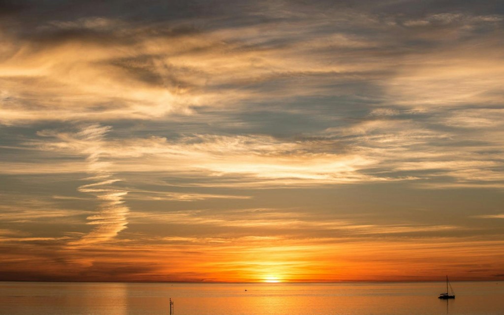 1/2 Day McLaren Vale Wine Tasting & Coast (Afternoon Tour) (1/2 Day McLaren Vale Wine Tasting & Coast (Afternoon Tour)) - 3