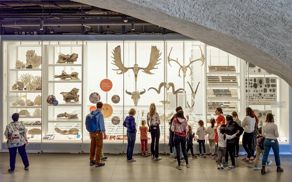 American Museum of Natural History Tickets (Dated Entry + 1 Ticketed Exhibition) - 2