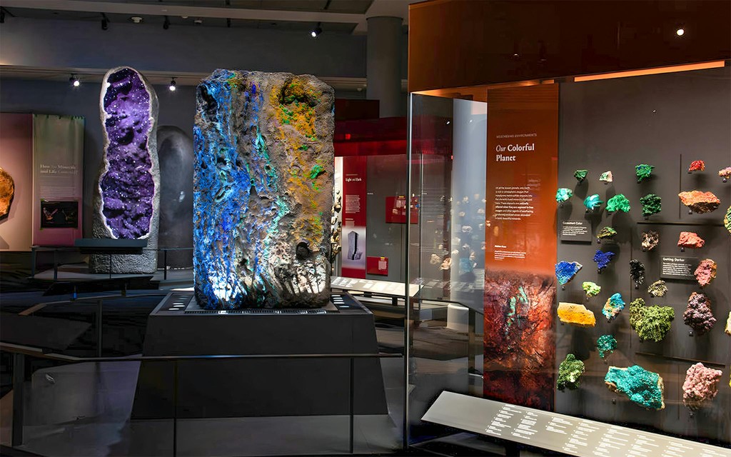 American Museum of Natural History Tickets (Dated Entry) - 3