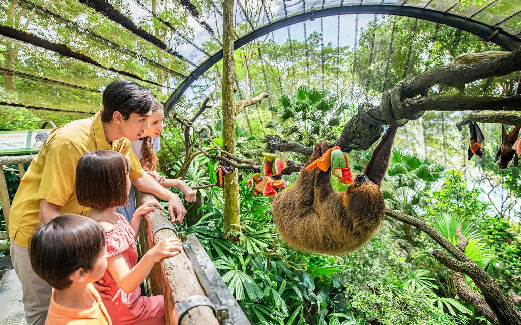 Singapore Zoo Tickets | Mandai Wildlife Reserve (Admission Ticket + Tram ride + $5 F&B Voucher) - 2