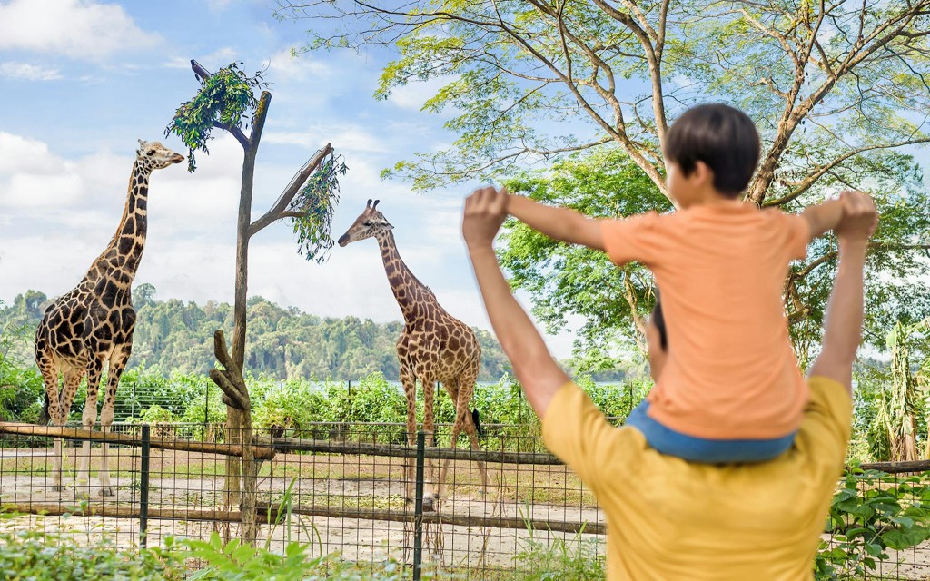 Singapore Zoo Tickets | Mandai Wildlife Reserve (Admission Ticket + Tram Ride) - 3