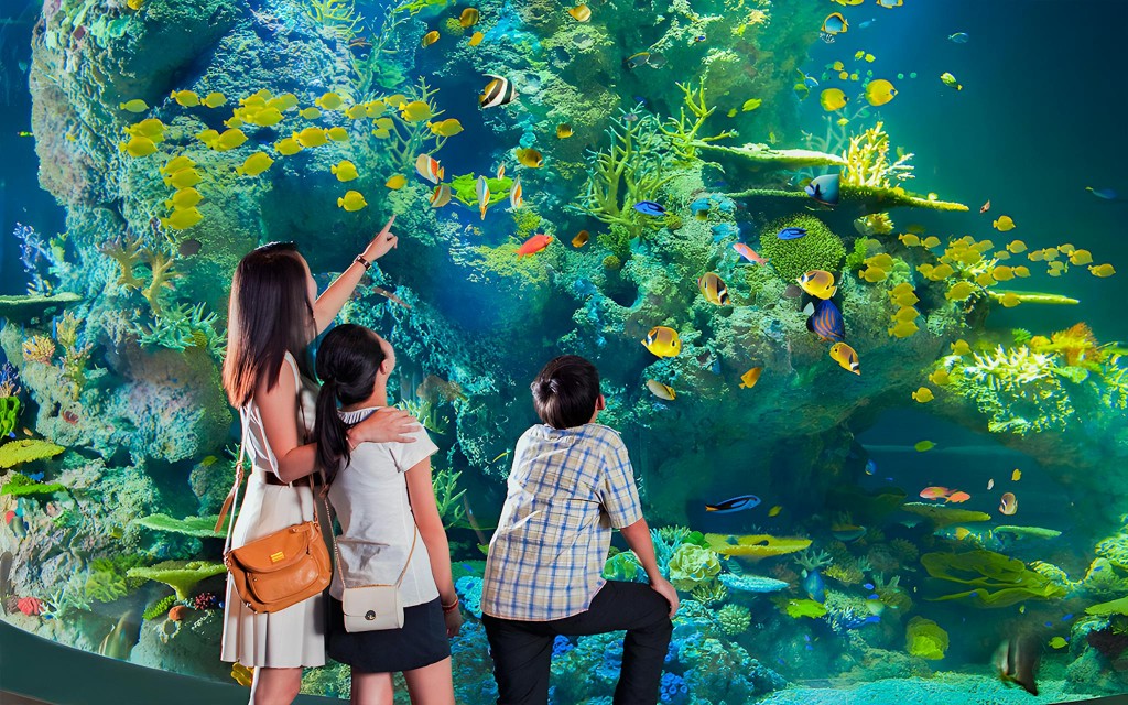 Singapour Ozeanarium Tickets (Admission Ticket + Free Meal & Retail Vouchers) - 1