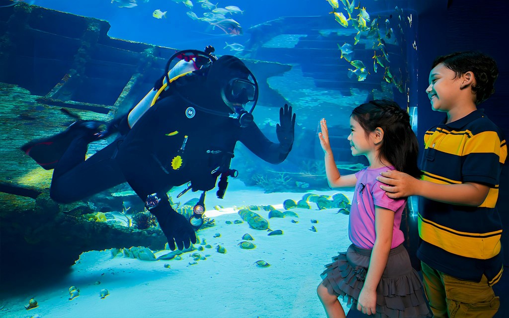 Singapour Ozeanarium Tickets (Admission Ticket + Free Meal & Retail Vouchers) - 2