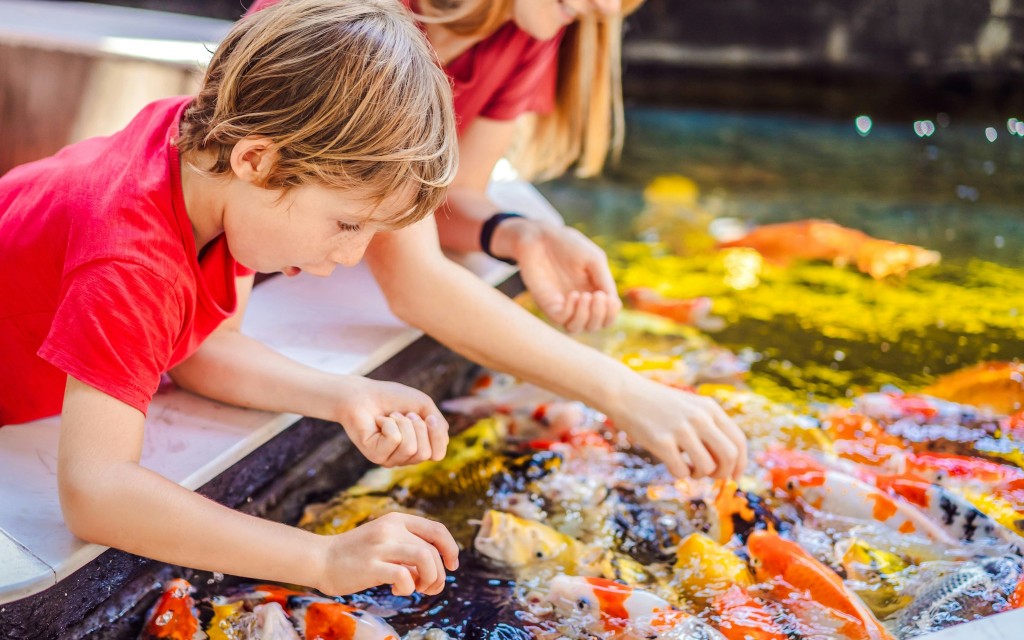 Headout inclui: Ingressos para o Butterfly Gardens Abu Dhabi (Butterfly Gardens Entry Tickets) - 3