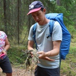 Helsinki: Magical Taiga Forest Hike - 1