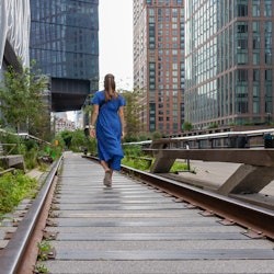 High Line, Chelsea & Hudson Yards: Guided Walking Tour + Edge NYC Entry Ticket - 1