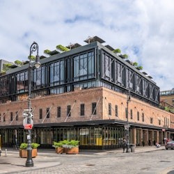 High Line, Chelsea & Hudson Yards: Guided Walking Tour + Edge NYC Entry Ticket - 2