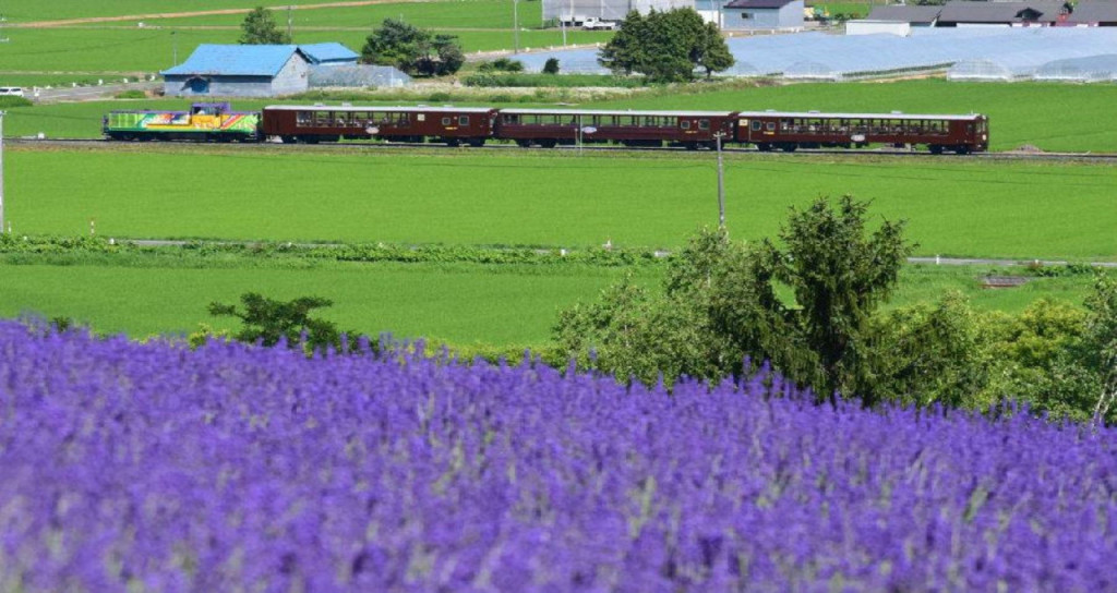 Hokkaido Sapporo-Furano Area Pass (Hokkaido Sapporo-Furano Area Pass - Four Days) - 2