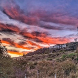 Hollywood Sign Los Angeles : visite guidée de 2 à 5 heures avec collation - 2