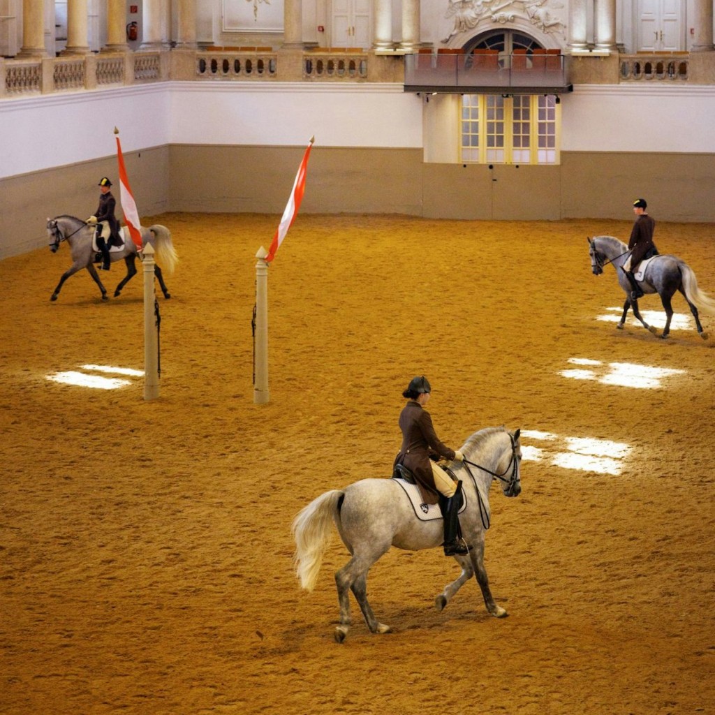 Treinamento de Cavalos na Escola de Equitação Espanhola - 1
